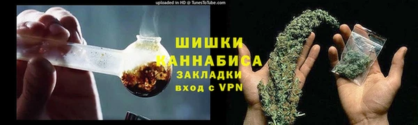 гидра Алексеевка